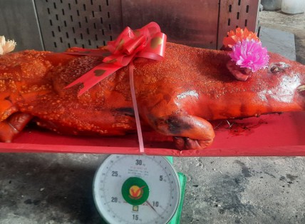 Heo Quay - Heo Sữa Quay Bình Tân