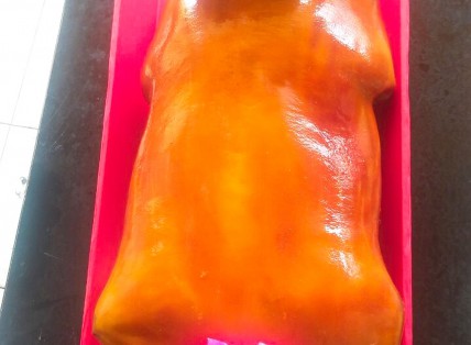  HEO CÚNG NGUYÊN CON