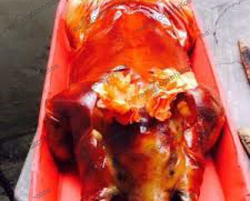 HEO QUAY BÌNH DƯƠNG